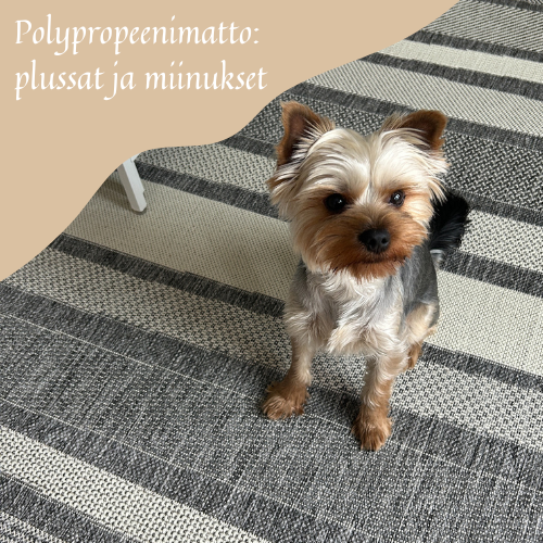 Polypropeeni mattojen plussat ja miinukset!